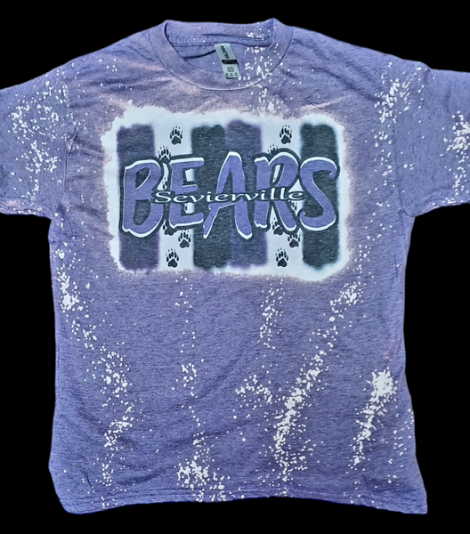 CLEARANCE Sevier County Bears YOUTH T-shirt LIMITED QUANTITY