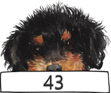 Peeping Dog Personalized Metal Car Tag OVER 50 DOG BREEDS
