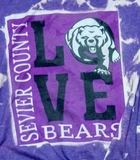 Sevier County Bears LOVE Bleached T-shirt